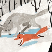 gray wolf red fox